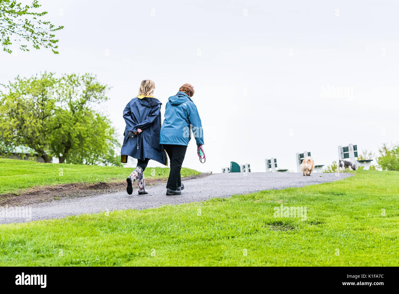 Quebec City, Canada - May 30, 2017: Two women walking on trail path street in plaines d'Abraham in morning during rainy day with dogs Stock Photo