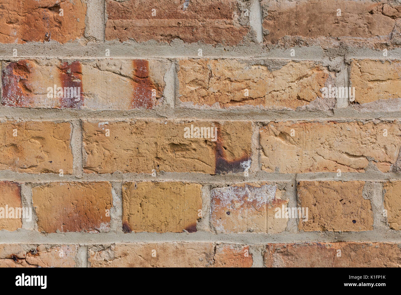 Elegant yellow brick wall background texture closeup Stock Photo - Alamy