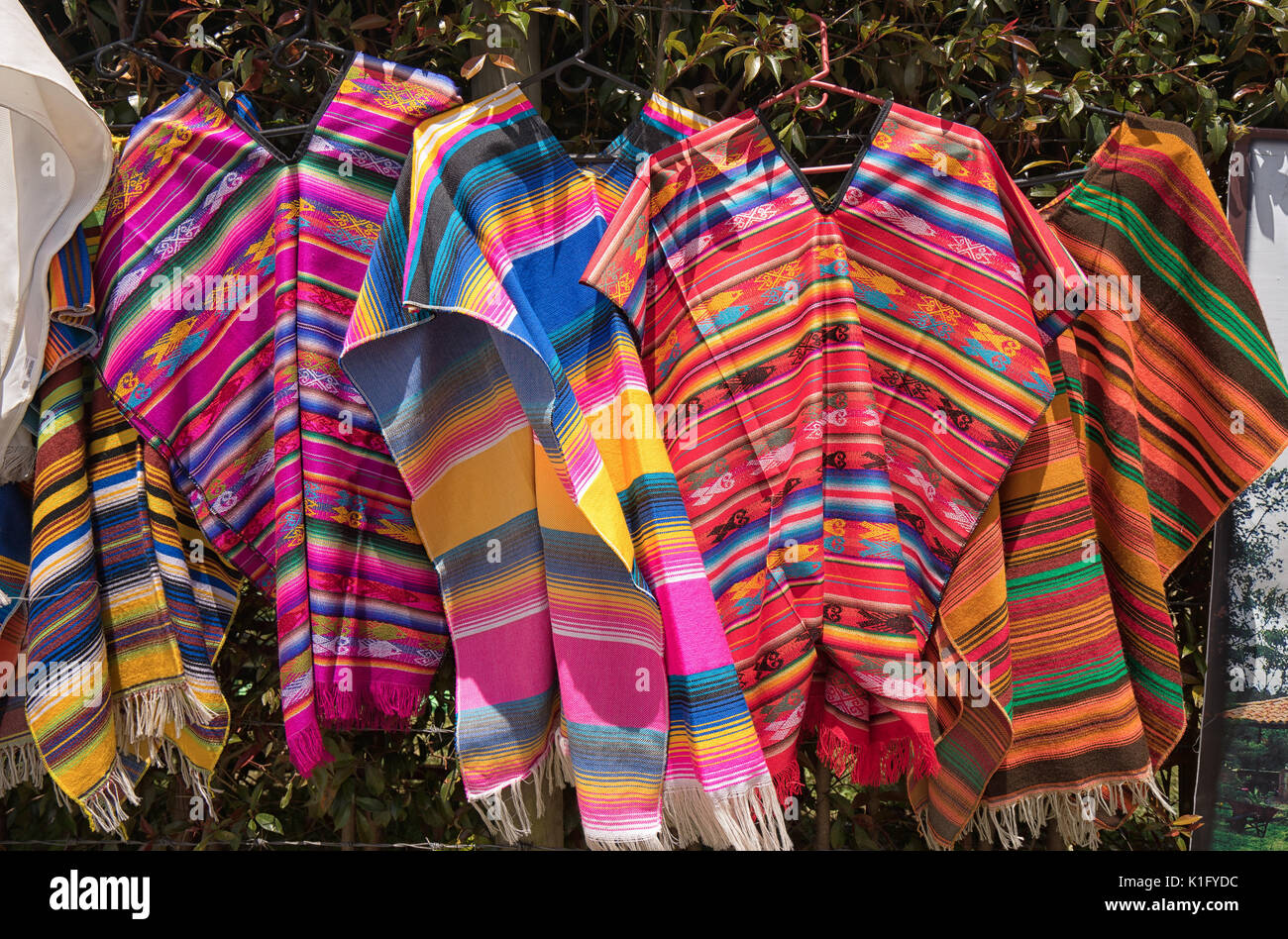 traditional men's ponchos in Colombia Stock Photo Alamy