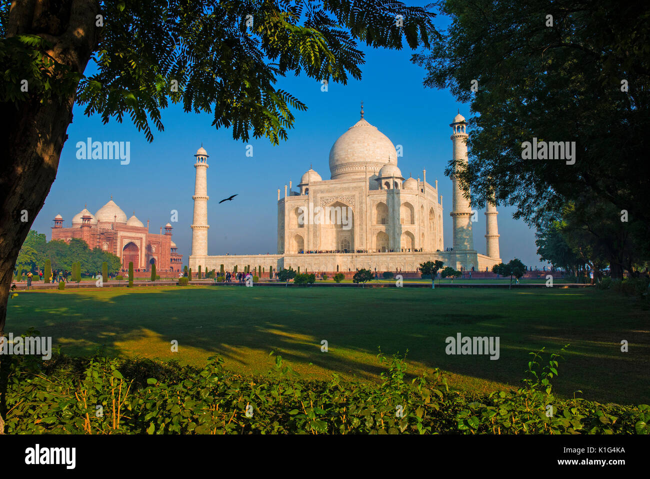 Taj Mahal India Stock Photo