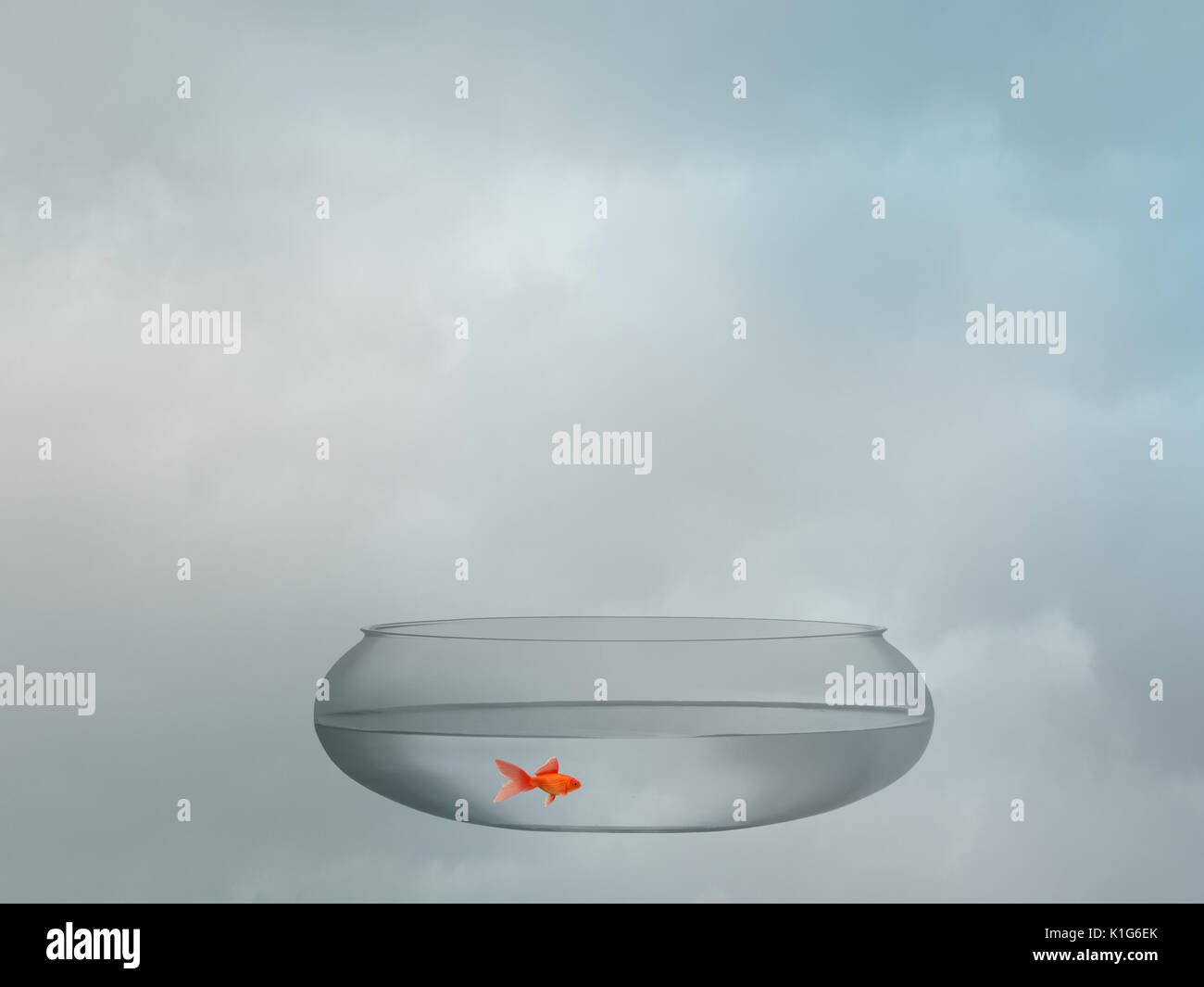 Visual Reference: Goldfish Bowl Surreal Image With Copy Space Stock Photo