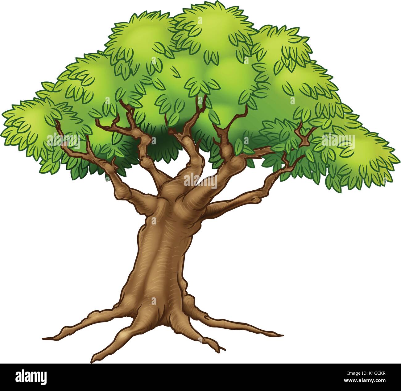 Tree drawing with roots hi-res stock photography and images - Page 2 - Alamy