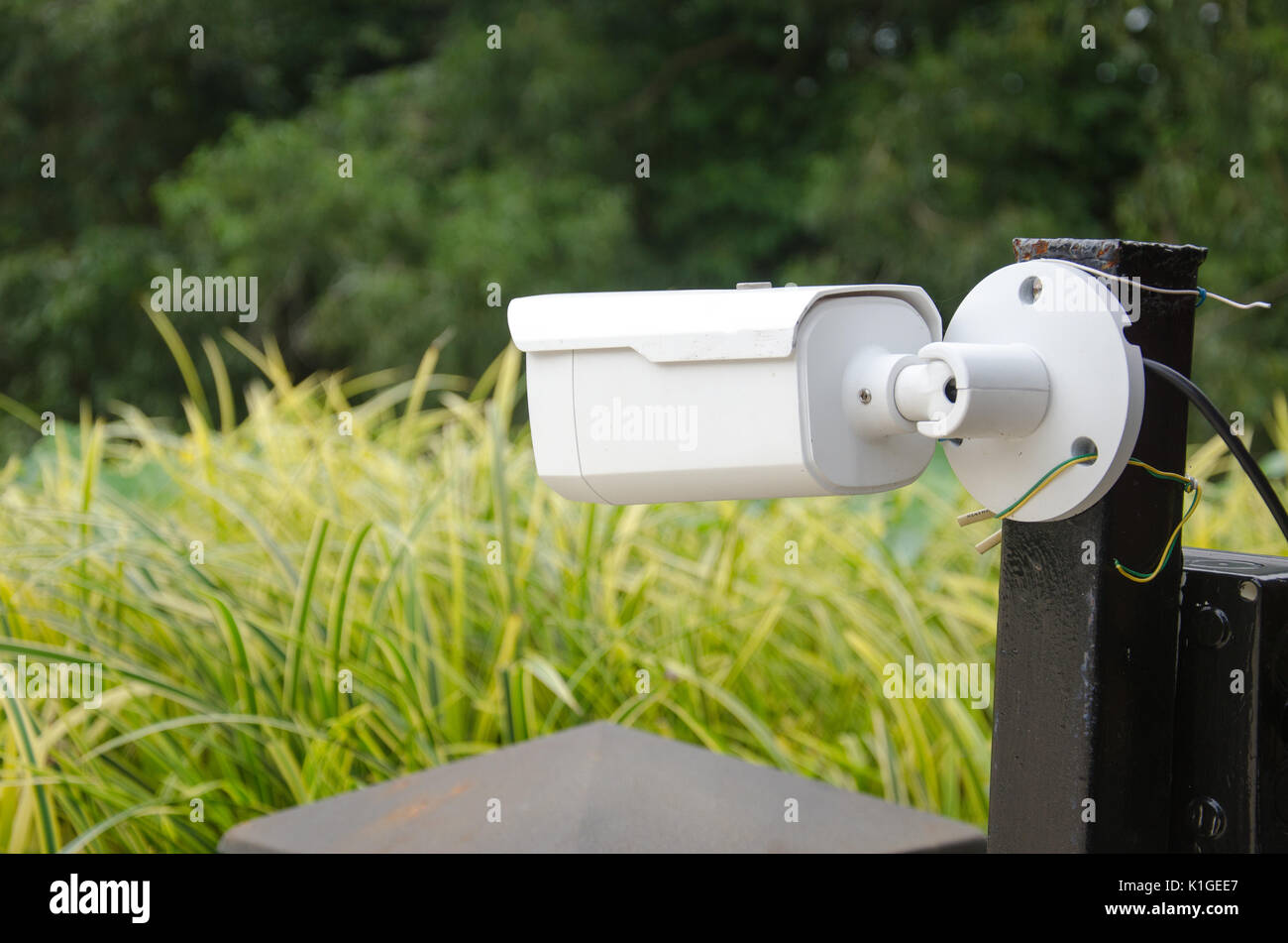 Weaving new electronic cameras detect abnormalities at different