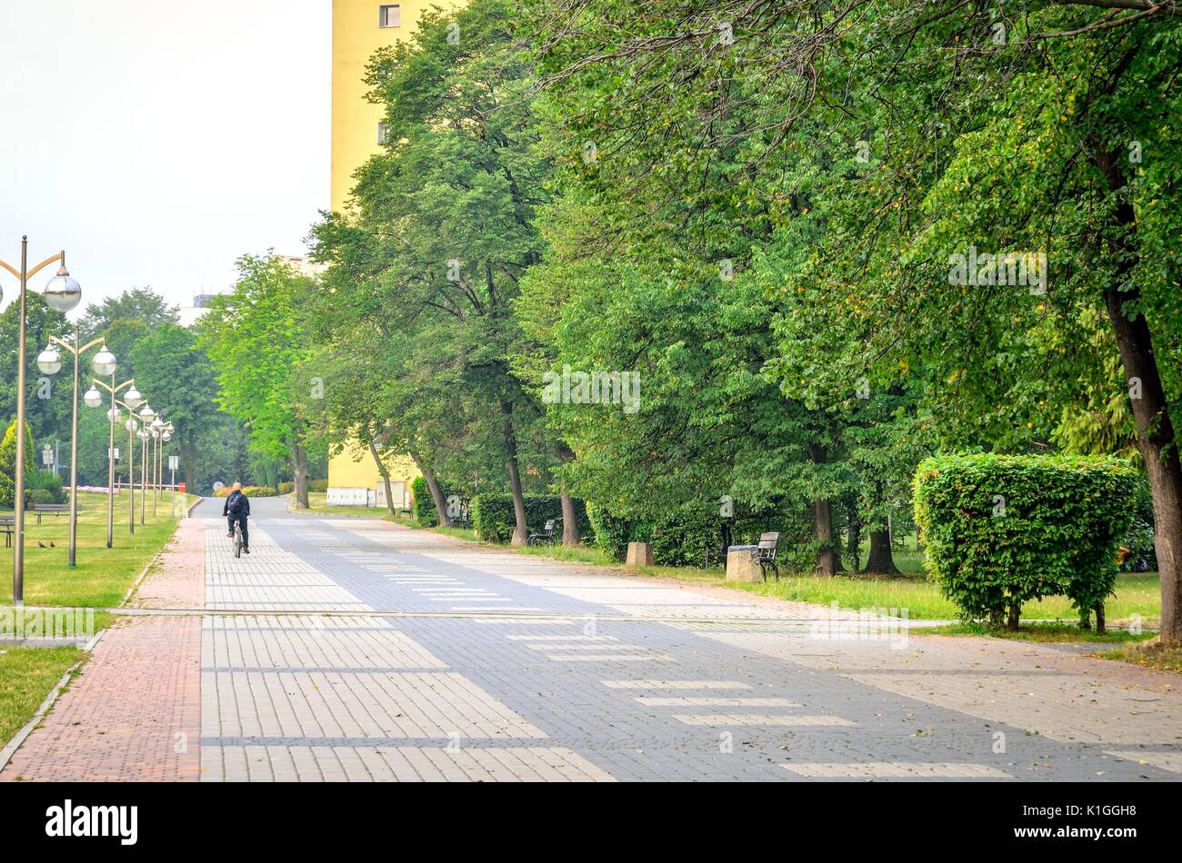 Green trees in the city hi-res stock photography and images - Alamy