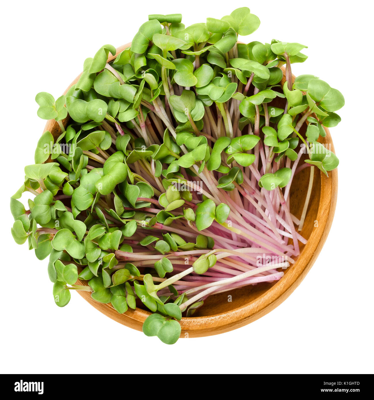 China Rose radish sprouts in wooden bowl. Cotyledons of Raphanus sativus. Chinese winter radish leaves with rose colored skin. Vegetable. Microgreen. Stock Photo