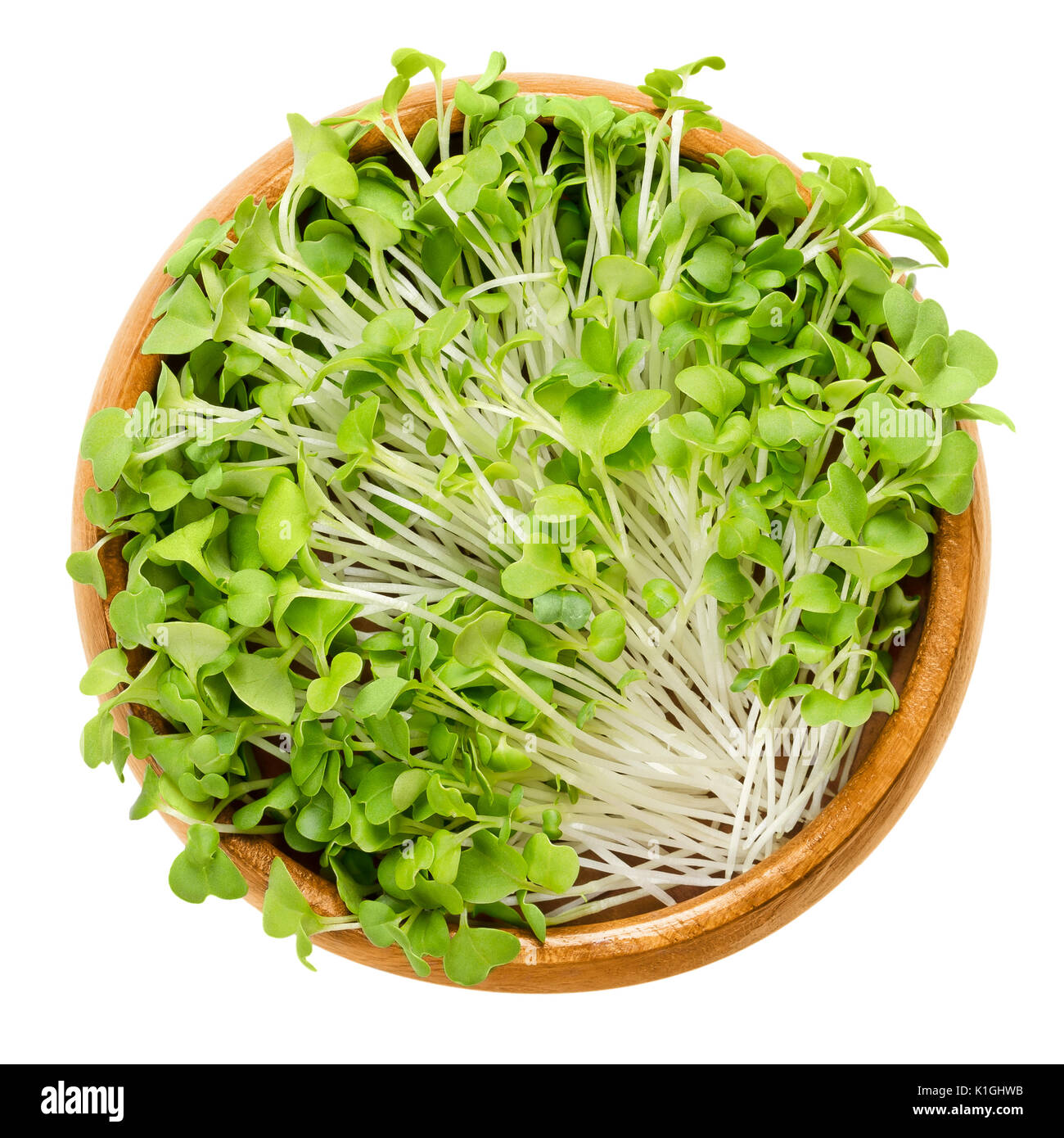 Mizuna sprouts in wooden bowl. Cotyledons of Brassica juncea japonica. Also Japanese mustard greens, kyona or spider mustard. Vegetable. Microgreen. Stock Photo