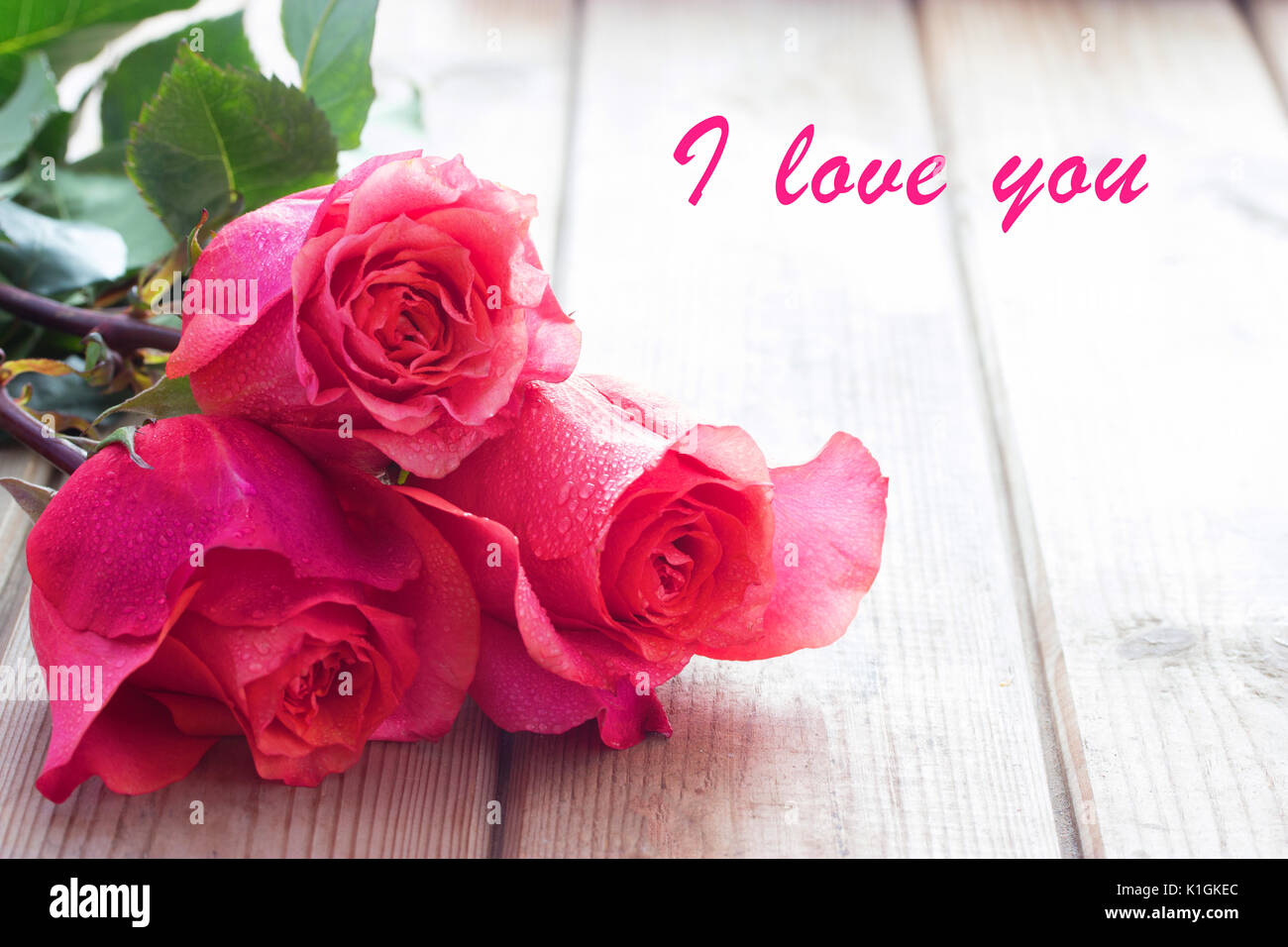 pink roses close up and sign i love you Stock Photo - Alamy