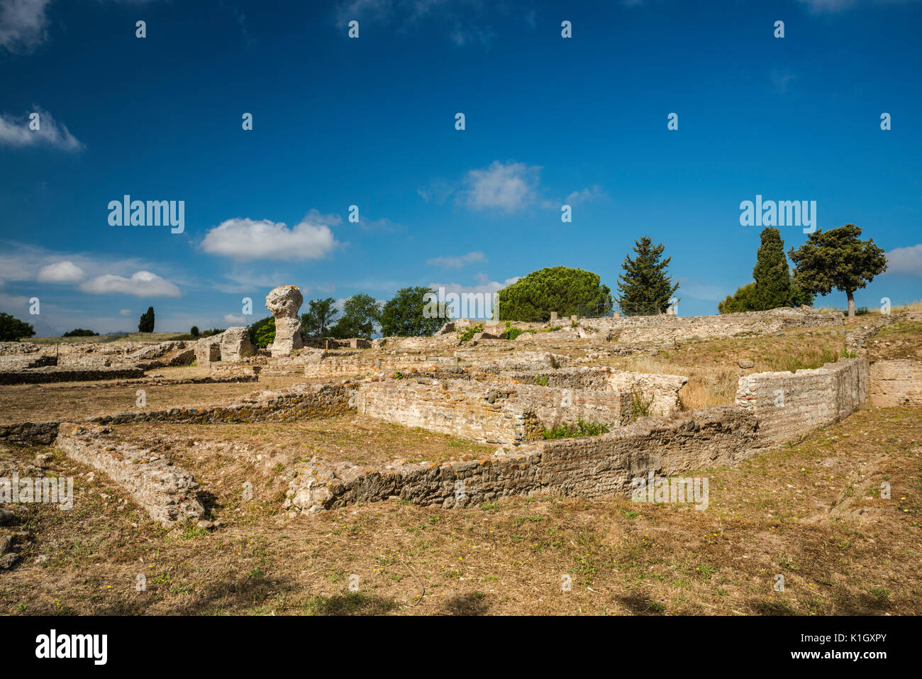 Roman settlement ruins, archaeological site in Aleria, Corsica, France Stock Photo