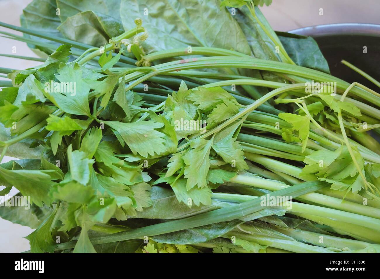 Chinese celery hires stock photography and images Alamy