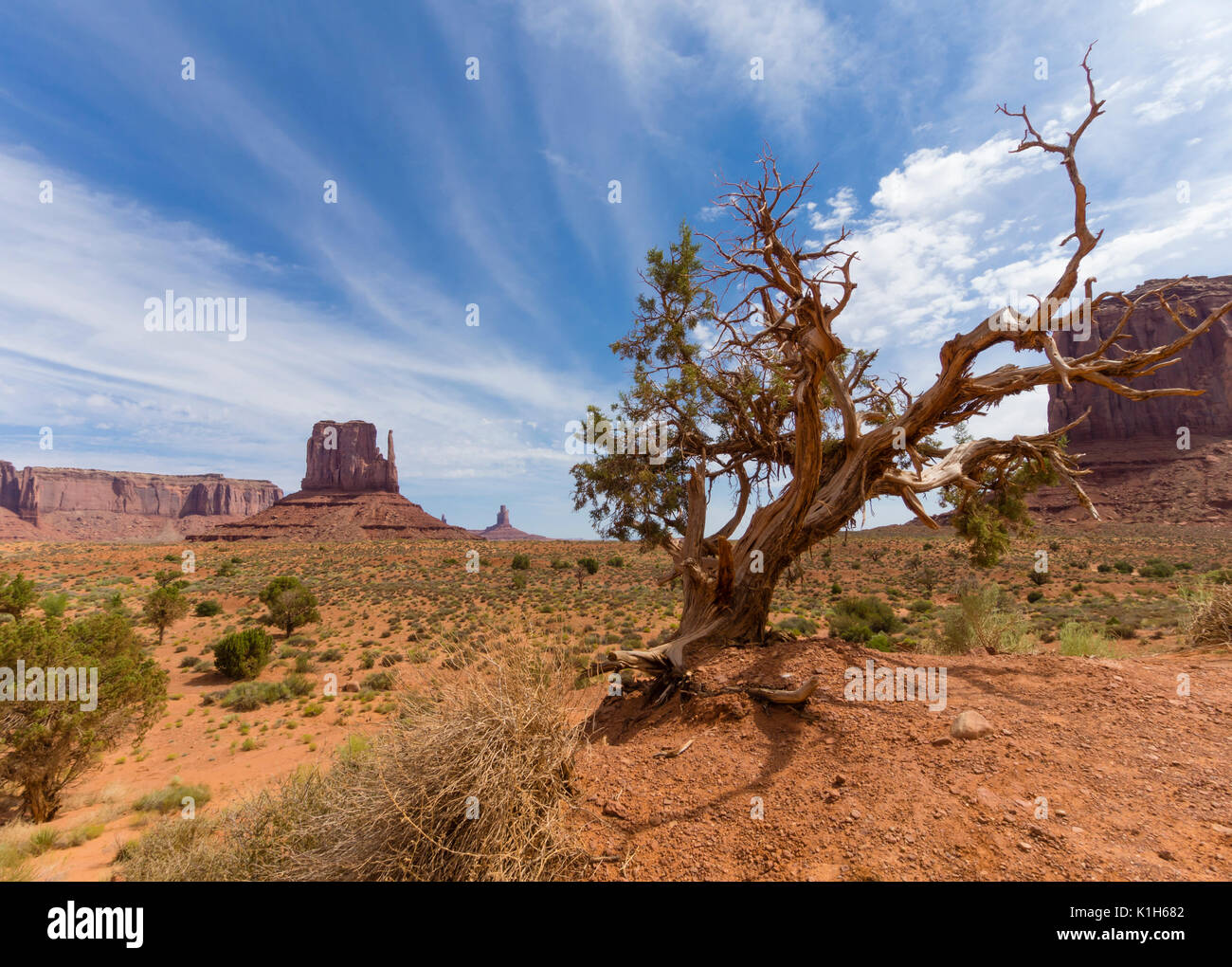 Dry desert vegatation and rock formations at Monument Valley, USA Stock ...