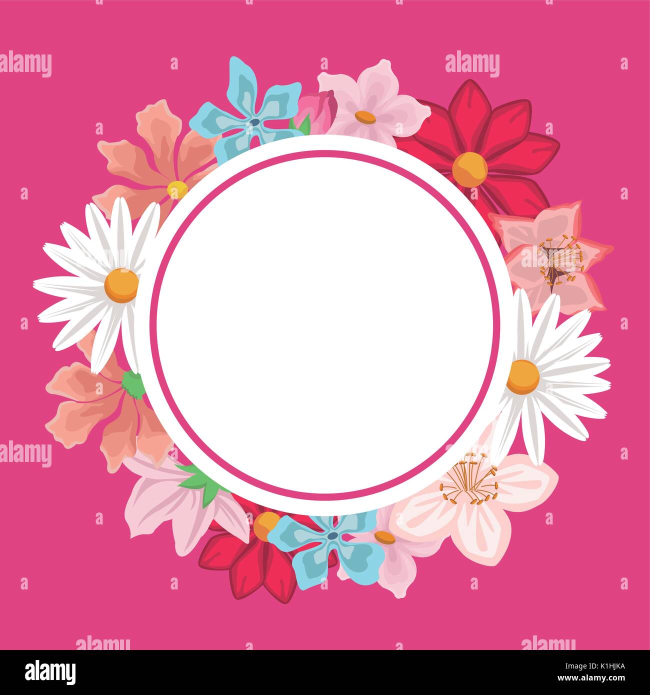 Pink Background With Decorative Circular Border With Colorful