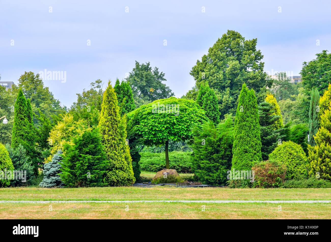 Big Stone Park/garden Flowerpot With Ornament And Evergreen Plant In Garden  Stock Photo, Picture and Royalty Free Image. Image 10606301.