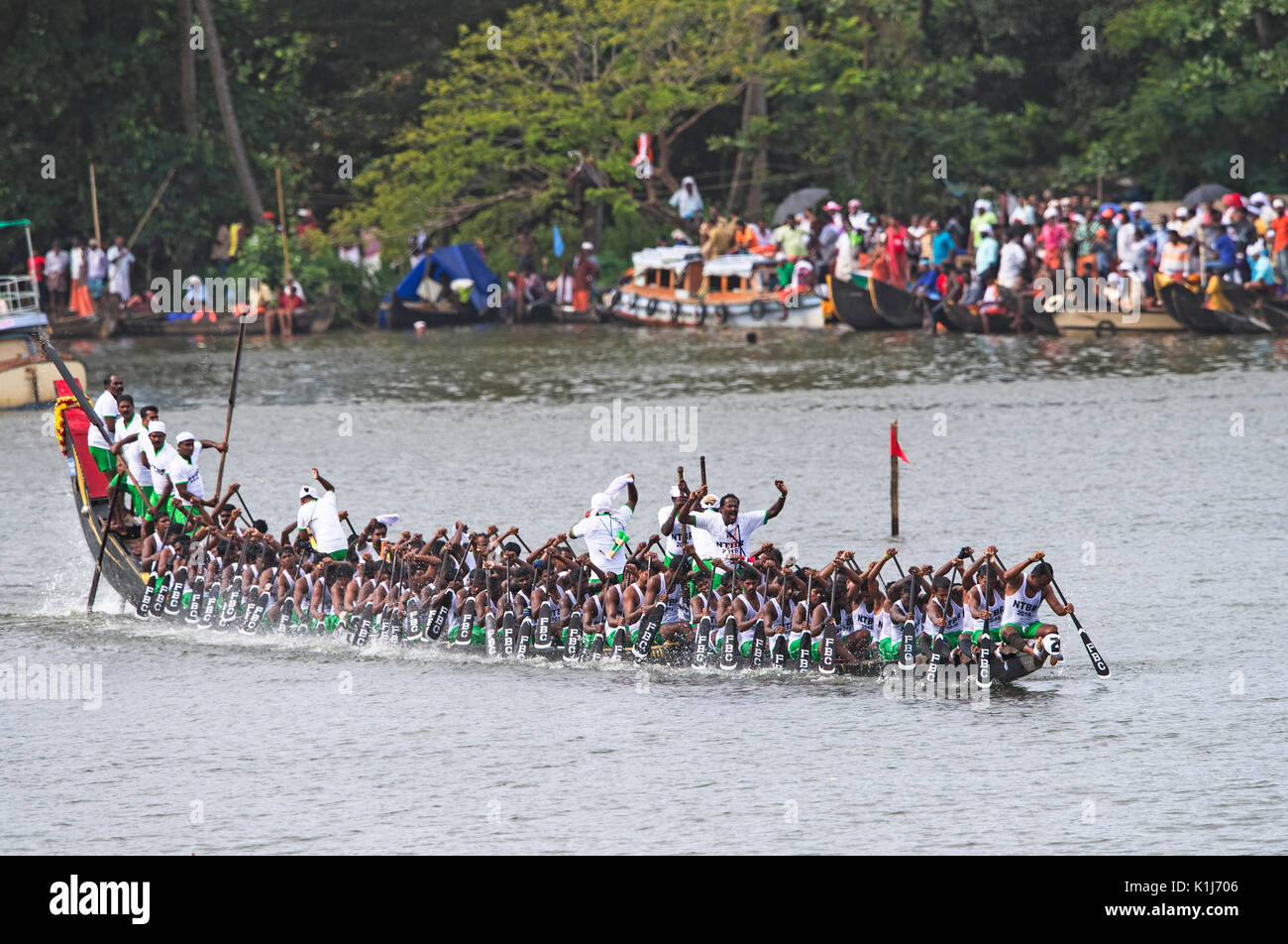 The image of men rowing Snake boat in Nehru boat race day, Allaepy, Punnamda Lake, Kerala India Stock Photo