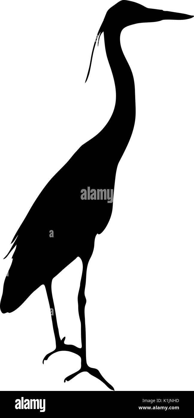 View on the silhouette of a gray heron Stock Vector