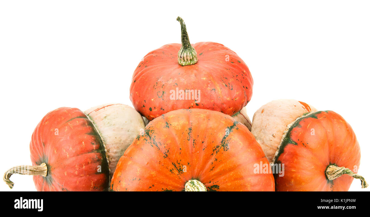 ripe pumpkin isolated on white background Stock Photo - Alamy