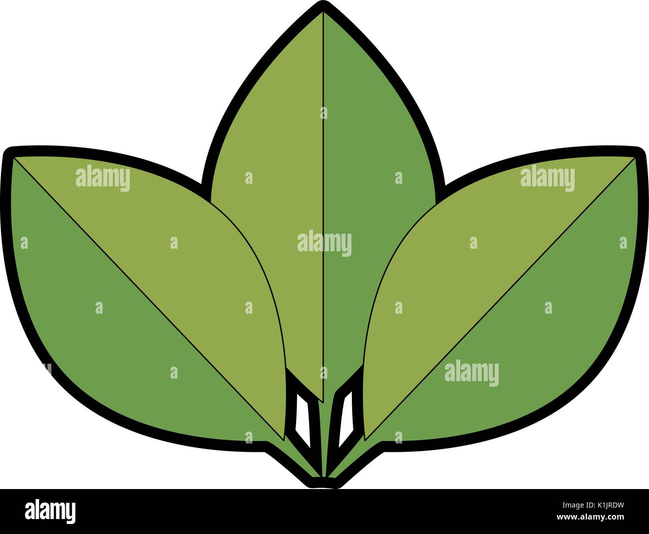 leaves icon over white background vector illustration Stock Vector ...