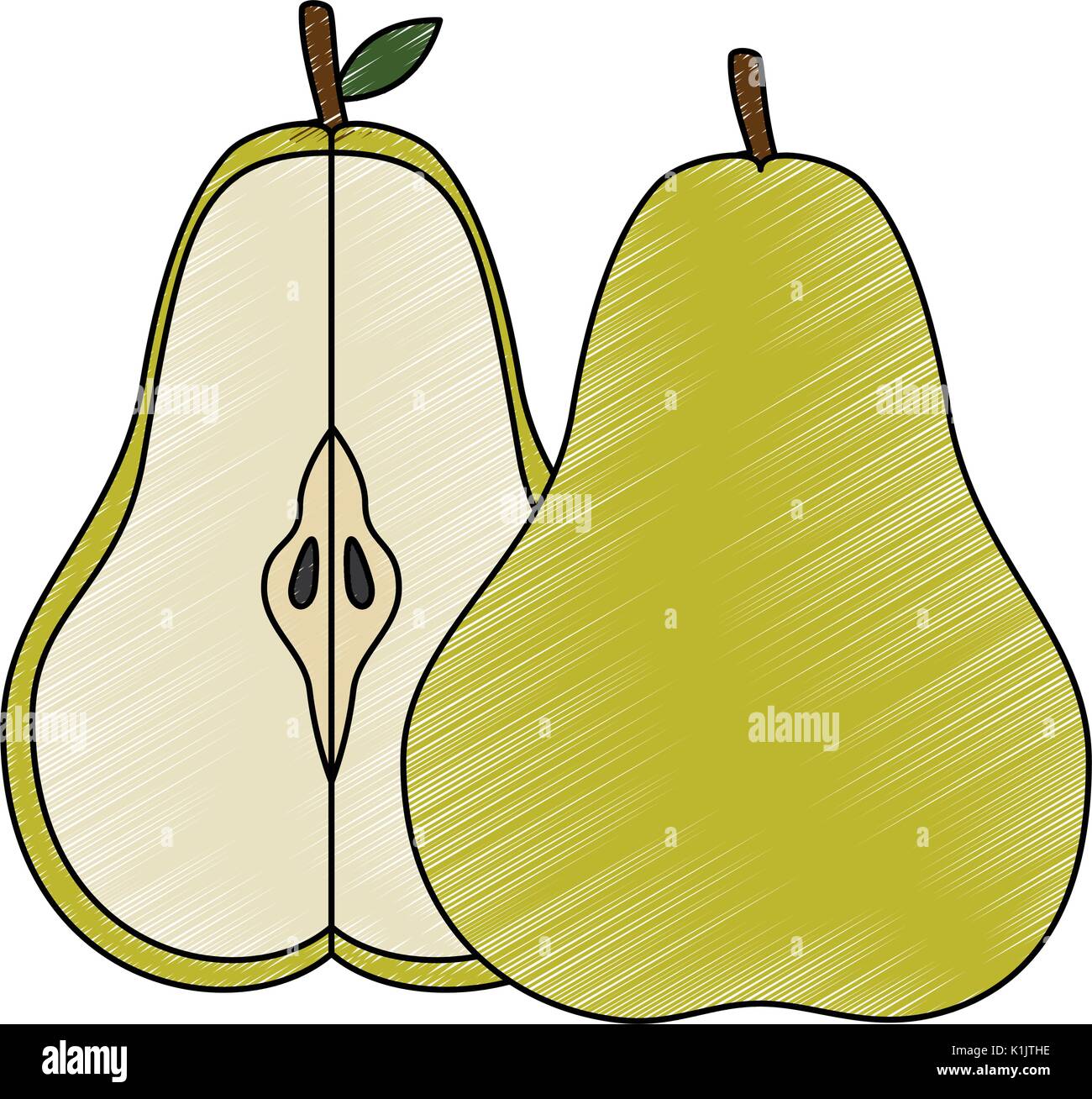 Pear delicious fruit icon vector illustration graphic design Stock ...