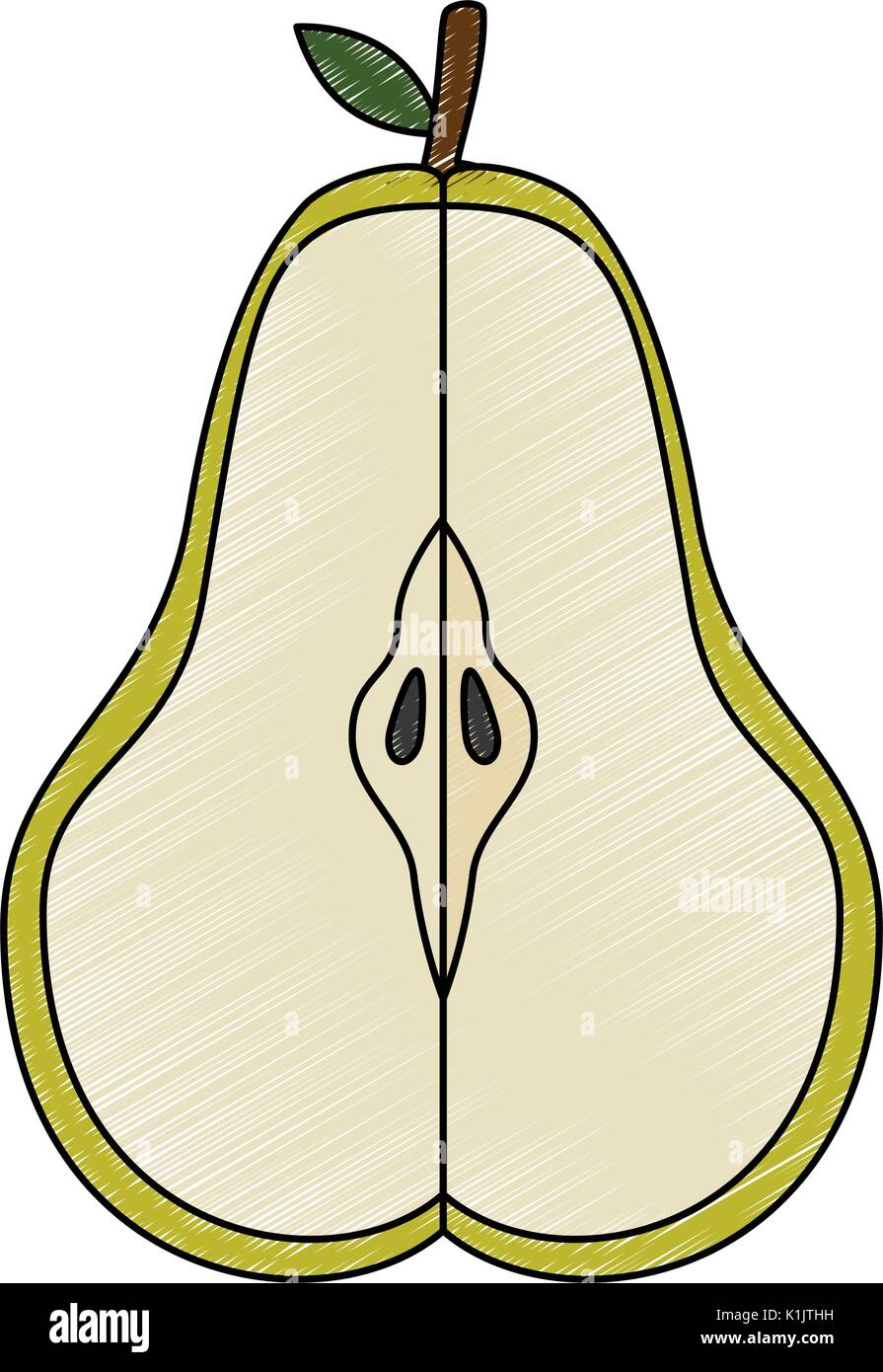 Pear delicious fruit icon vector illustration graphic design Stock ...
