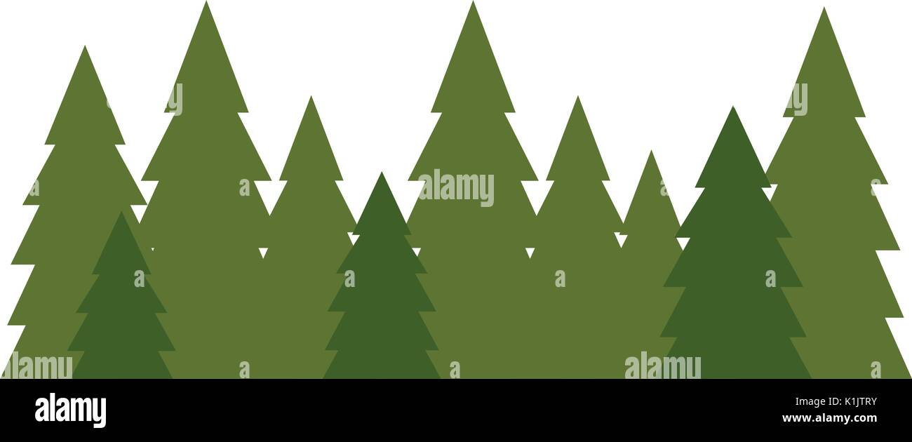 Tree pines isolated icon vector illustration graphic design Stock Vector