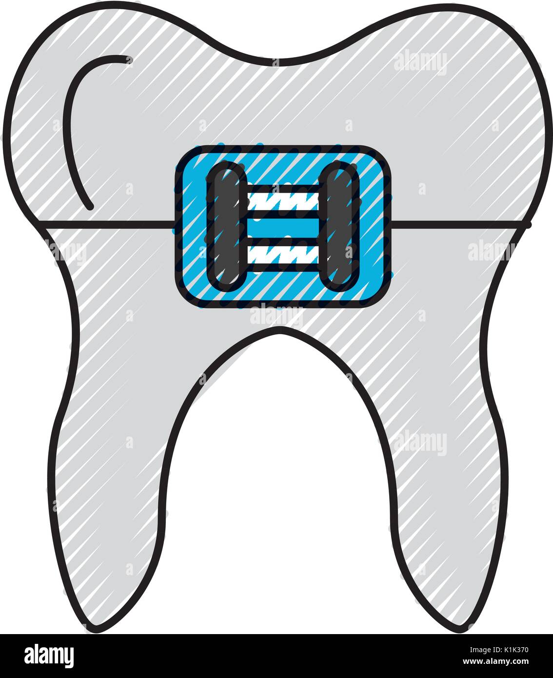 Human tooth with bracket Stock Vector Image & Art - Alamy