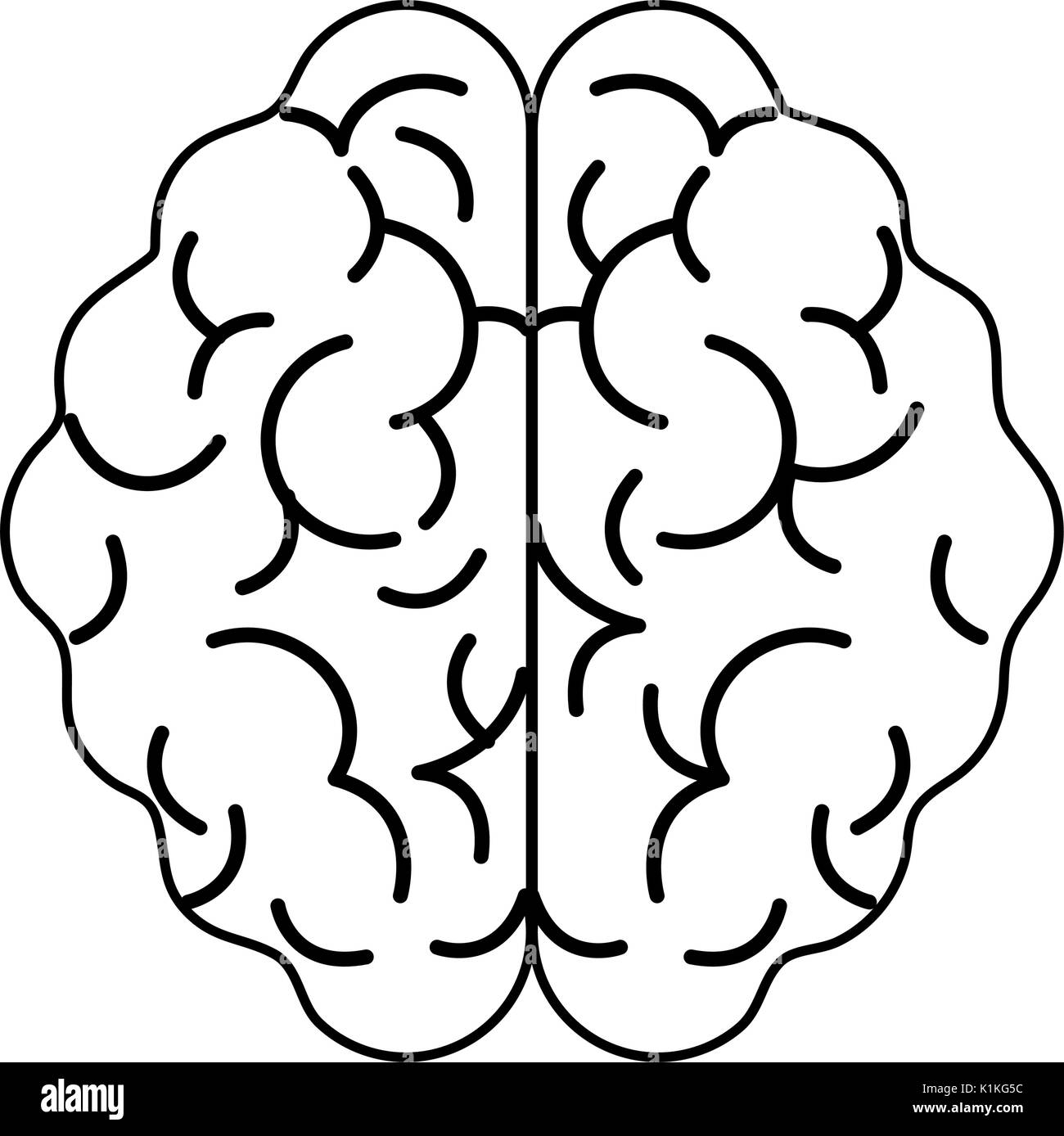 human brain topview icon image vector illustration design black and ...
