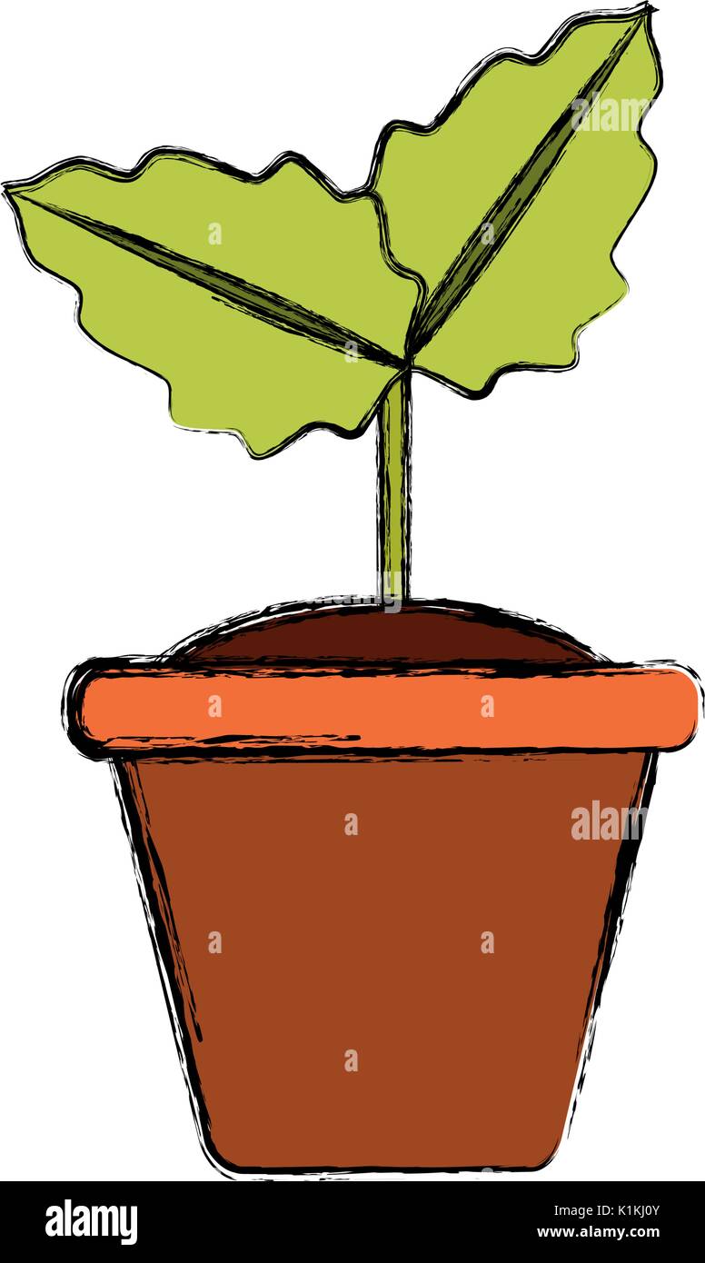Plant in pot Stock Vector Image & Art - Alamy