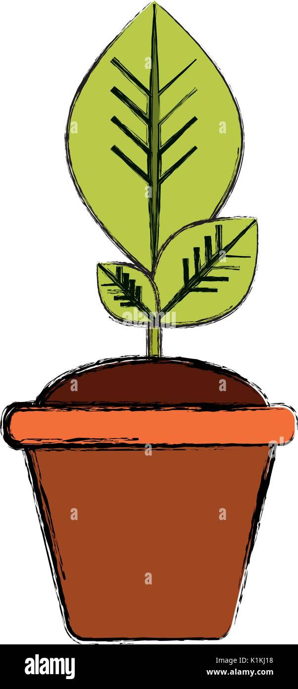 Plant in pot Stock Vector Image & Art - Alamy