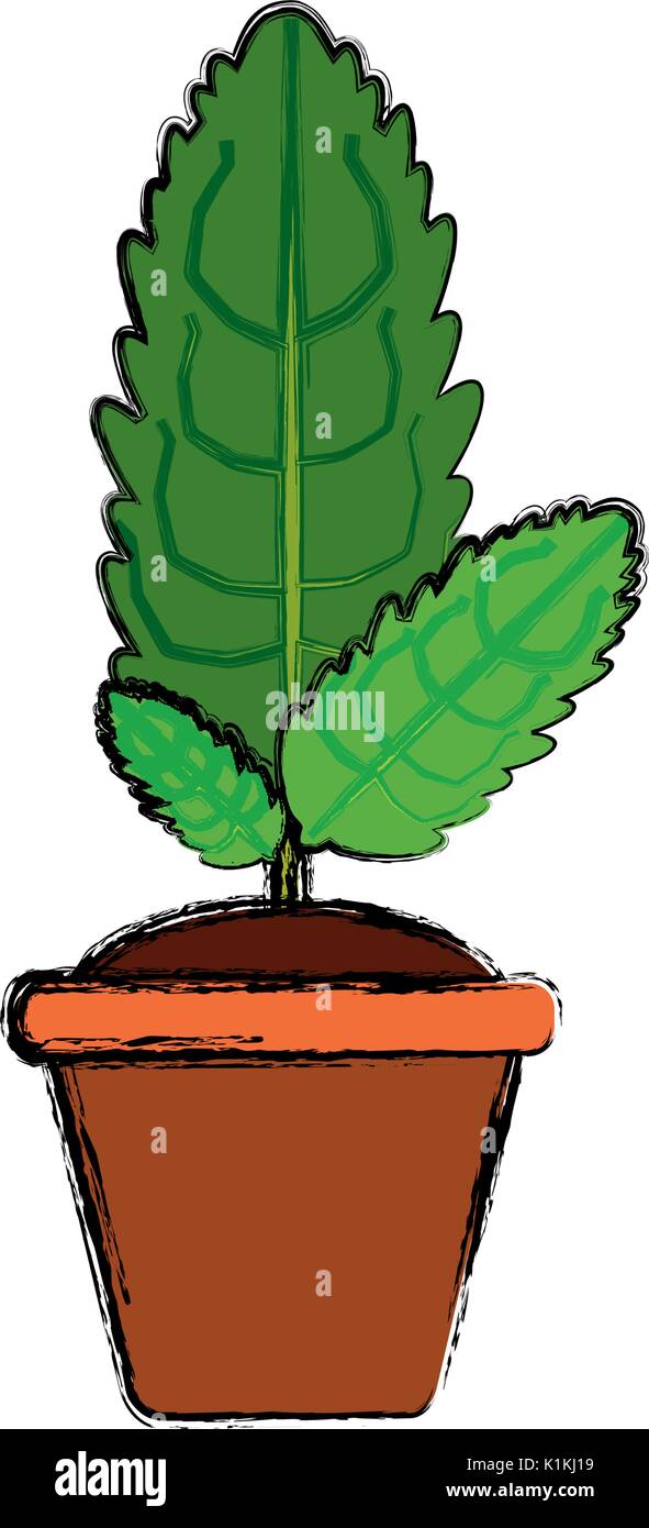 Plant in pot Stock Vector Image & Art - Alamy