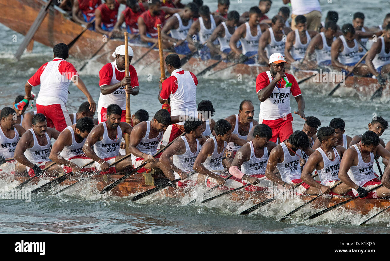The image of men rowing Snake boat in Nehru boat race day, Allaepy
