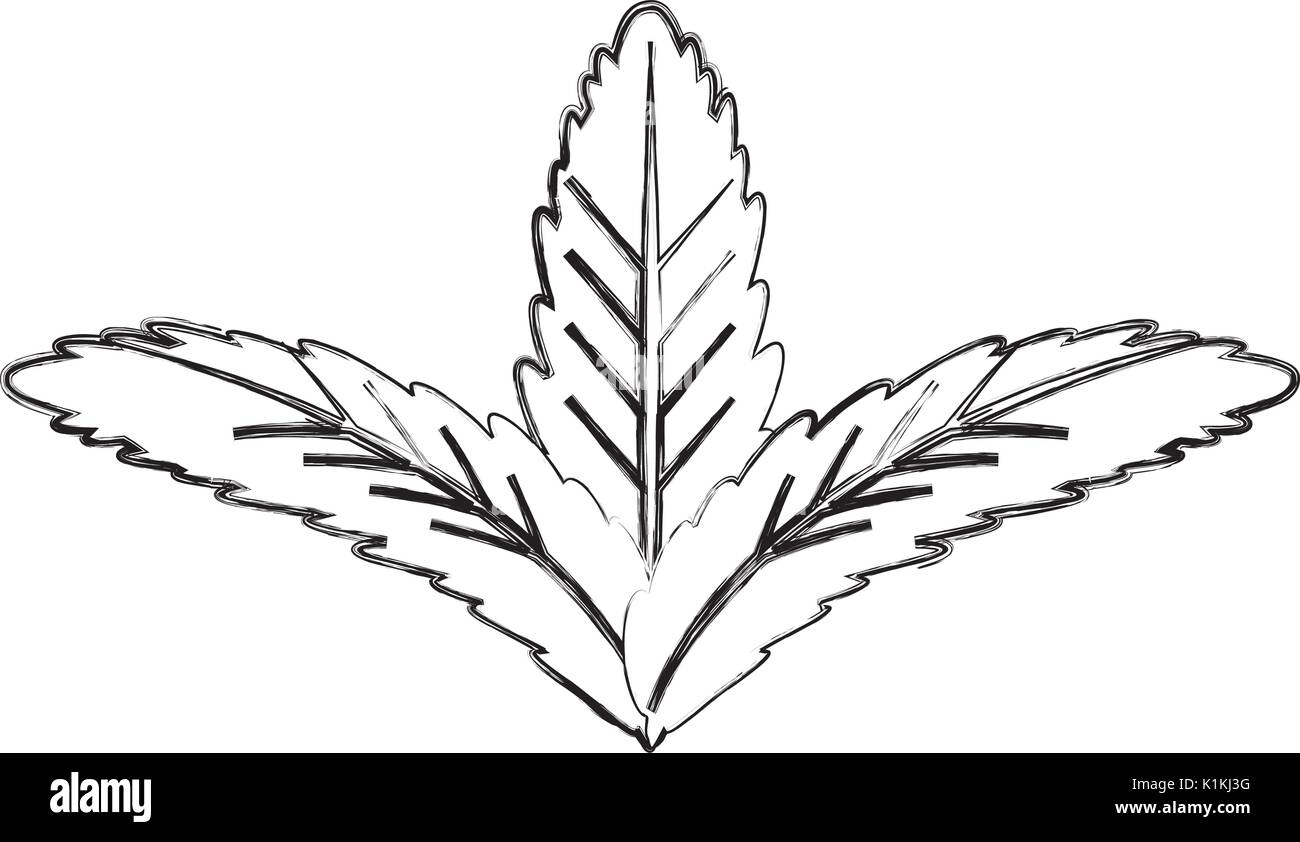 Leaves eco symbol Stock Vector Image & Art Alamy