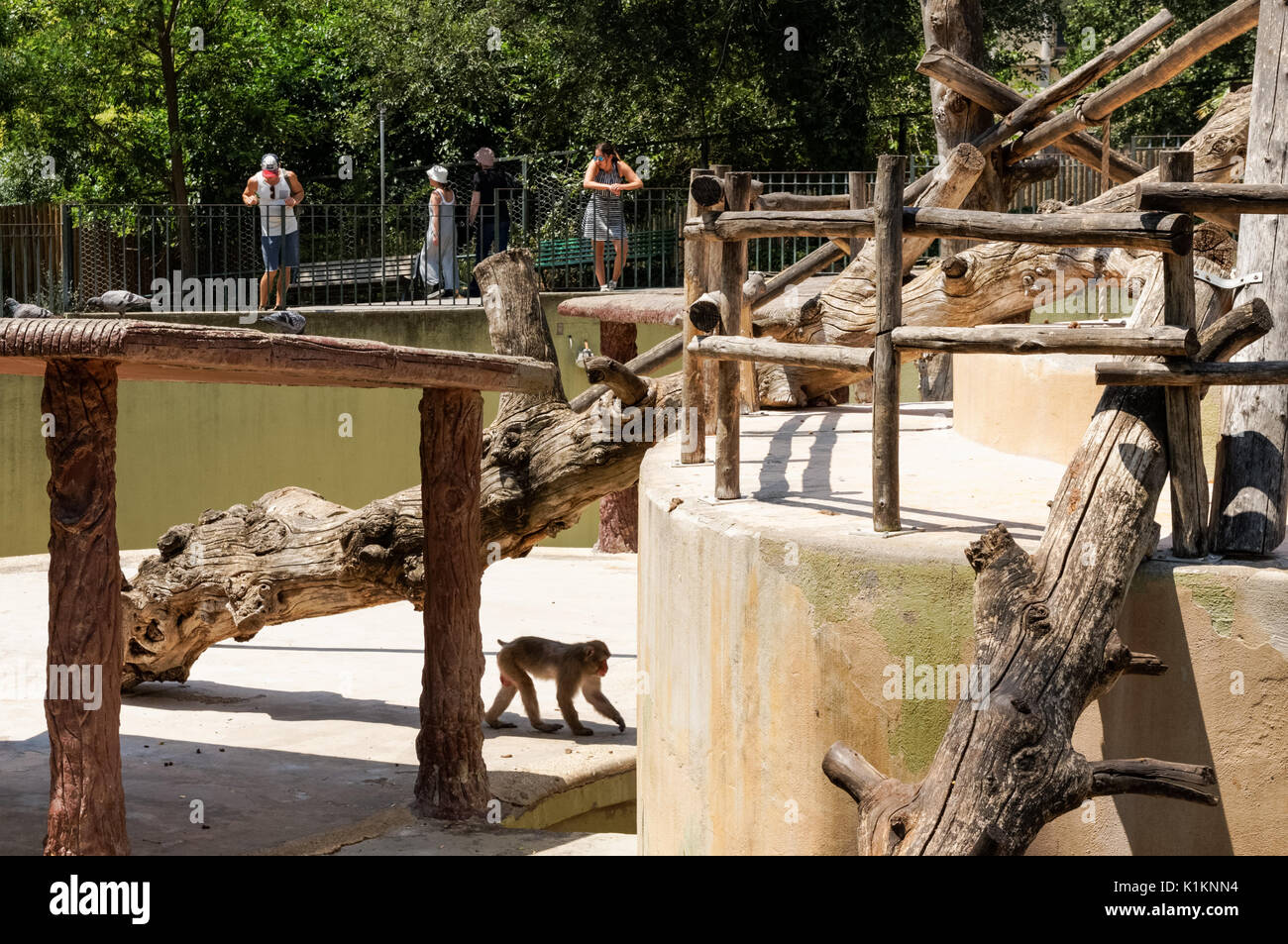 Visitors at the Rome Zoo, Italy Stock Photo Alamy