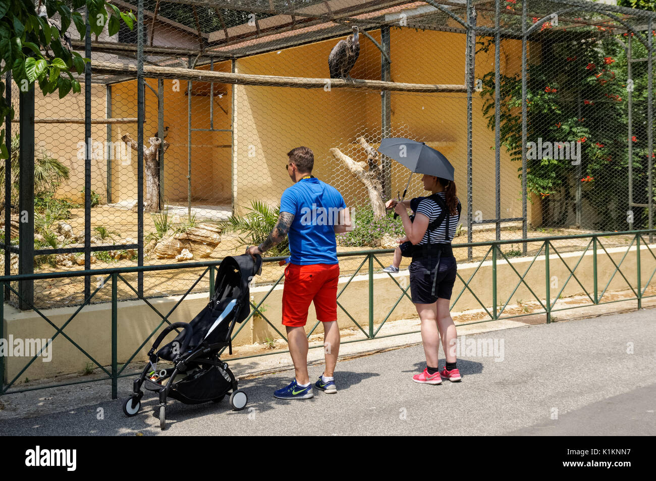 Visitors at the Rome Zoo, Italy Stock Photo Alamy