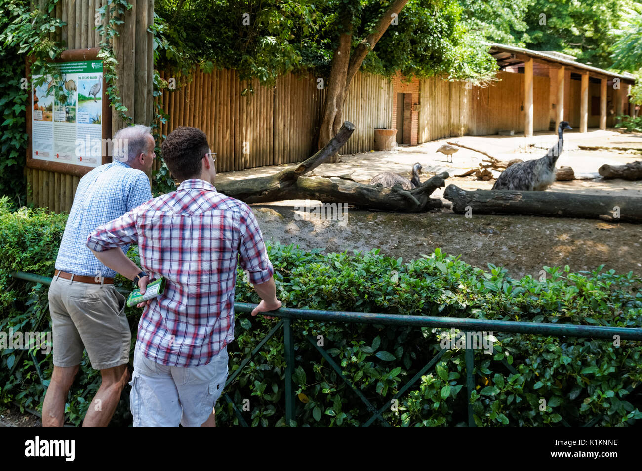 Visitors at the Rome Zoo, Italy Stock Photo Alamy