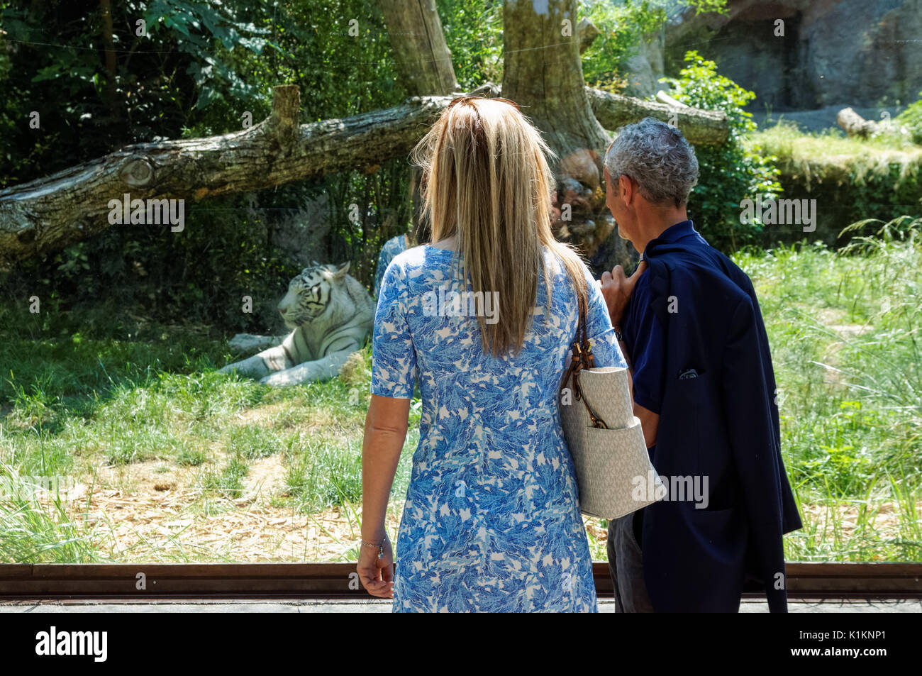 Visitors at the Rome Zoo, Italy Stock Photo Alamy