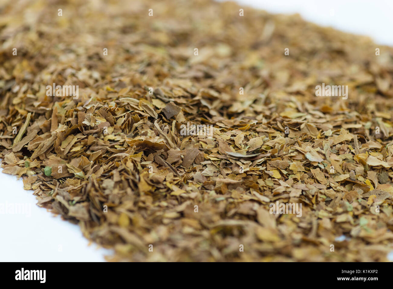 unprocessed tobacco leaves extreme close up in a selective view on dried natural on a white background burred to add copy space Stock Photo All Tobacco Leaf - Tobacco