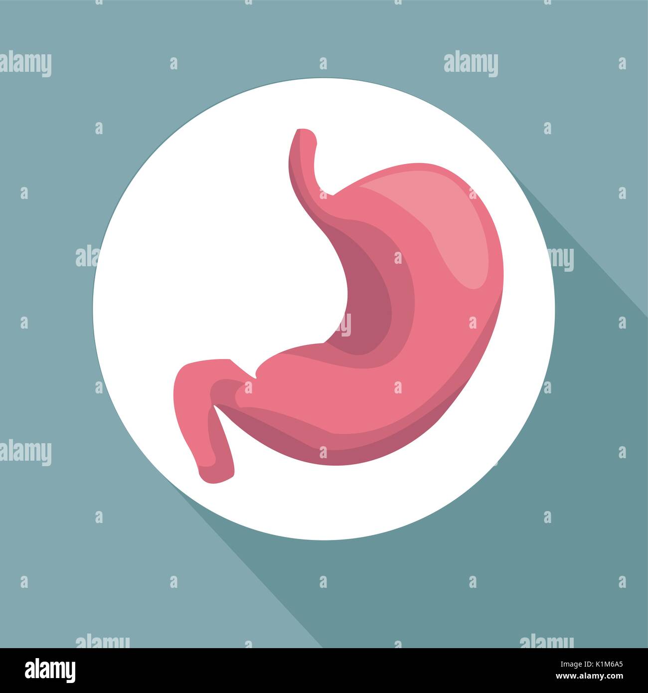 color background with circular frame stomach organ human body Stock ...