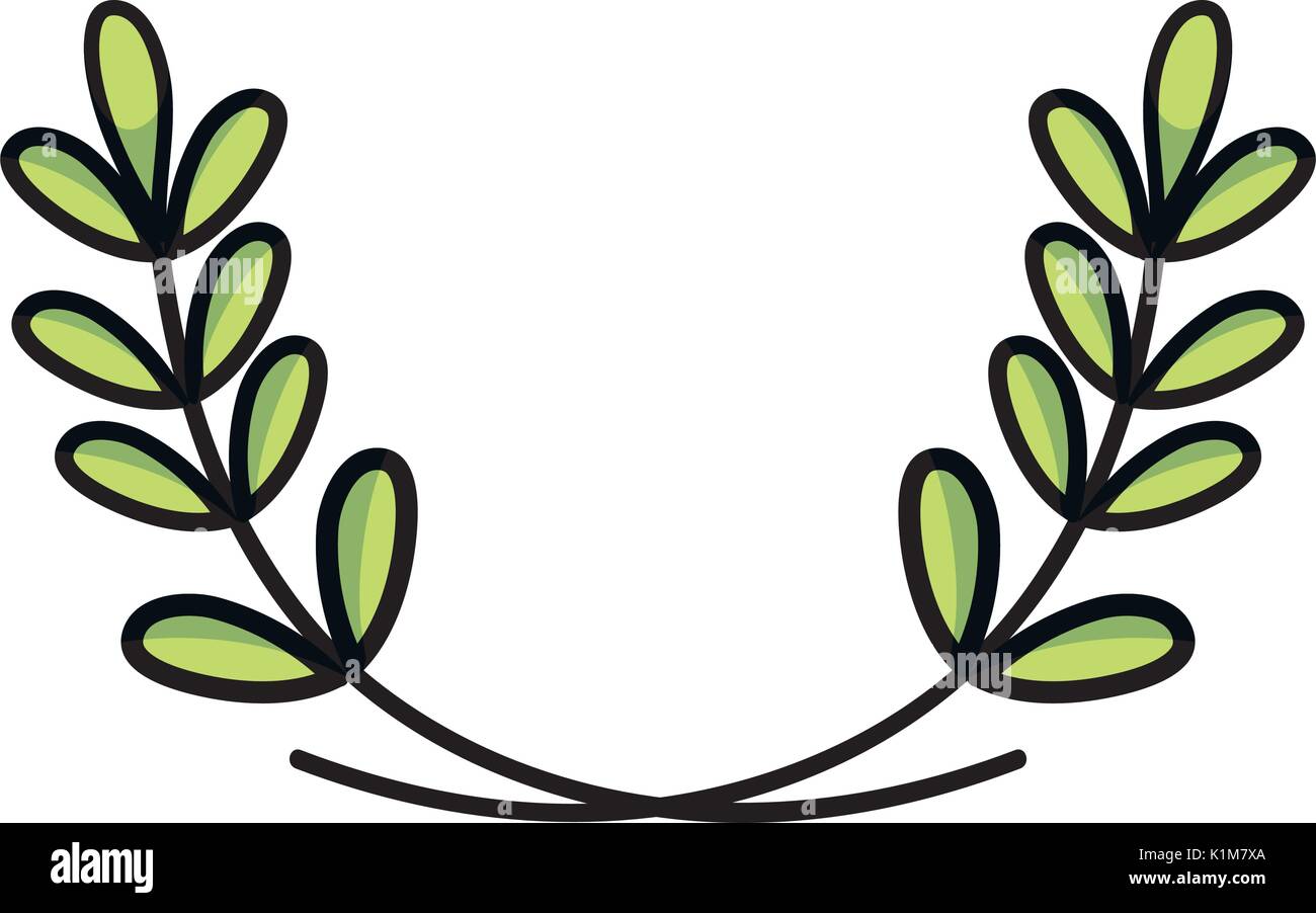 branches with leaves natural plant design Stock Vector Image & Art - Alamy