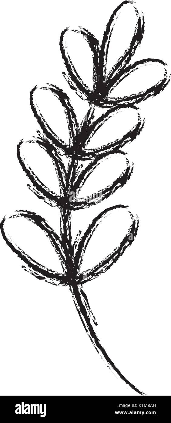 figure branch with leaves natural plant design Stock Vector Image & Art ...