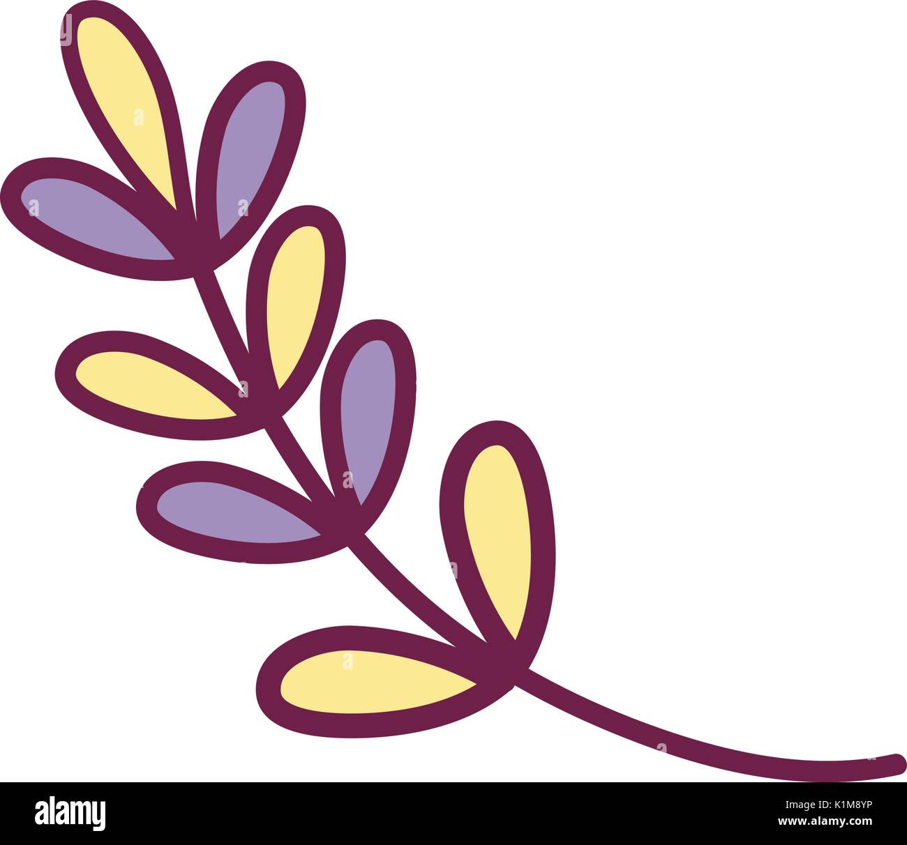 branch with leaves natural plant design Stock Vector Image & Art - Alamy