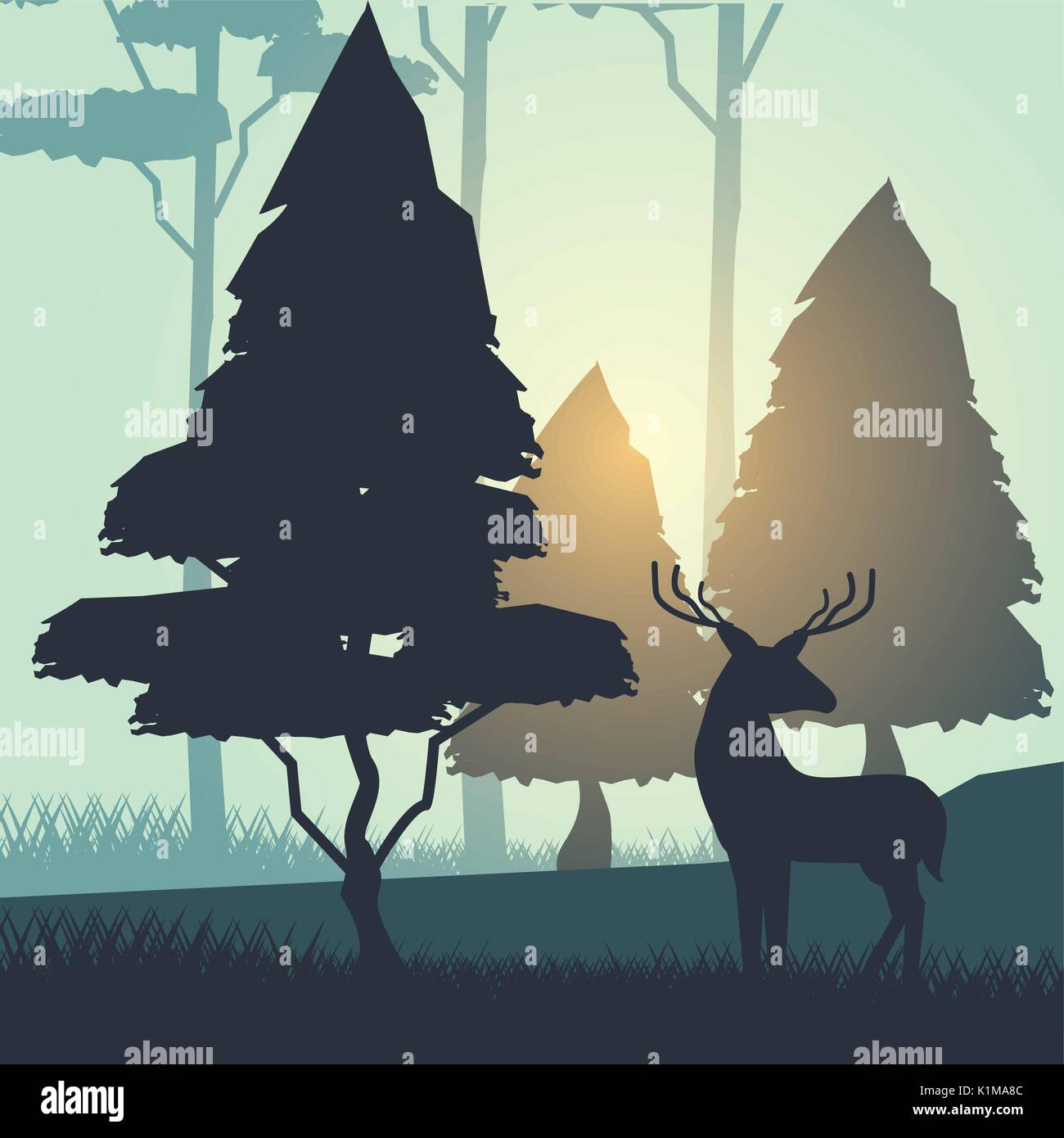 colorful background with sunrise landscape of forest with trees and ...