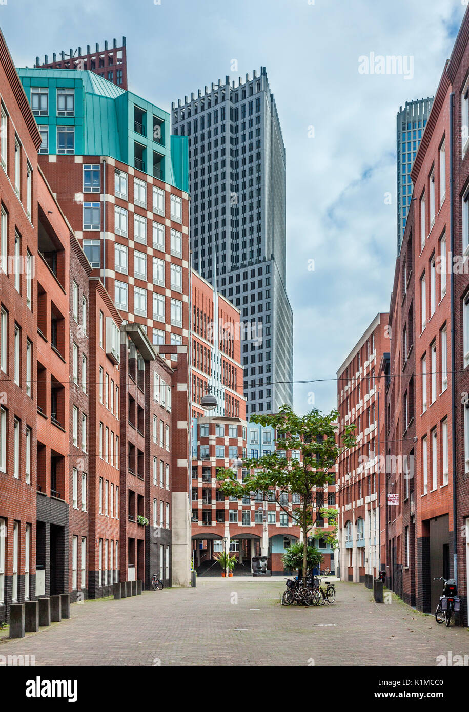 Netherlands, South Holland, The Hague (Den Haag), modern urban development at Calliopestraat with view towards Muzenplein Stock Photo