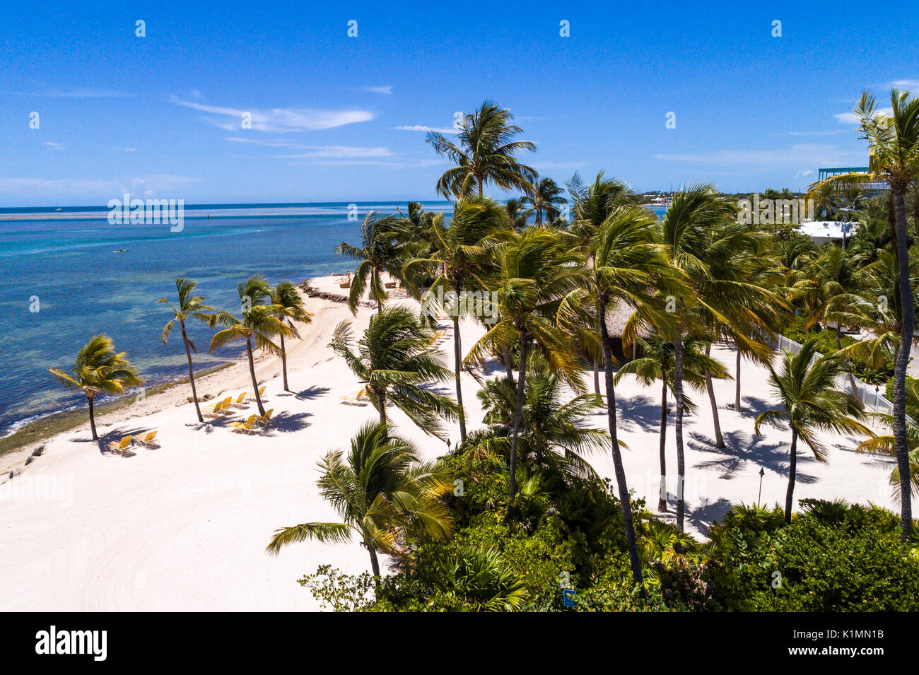 Florida,Florida Keys,Upper,Islamorada,Whale Harbor,Atlantic Ocean water,Windley Key,aerial