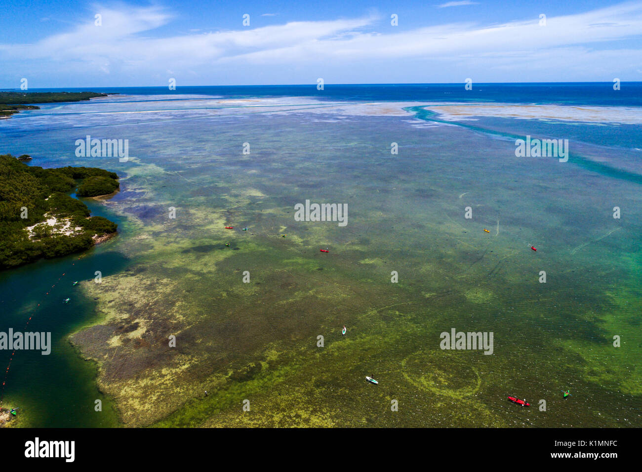 Florida,Florida Keys,Upper,Islamorada,Whale Harbor,Atlantic Ocean,Windley Key,aerial overhead