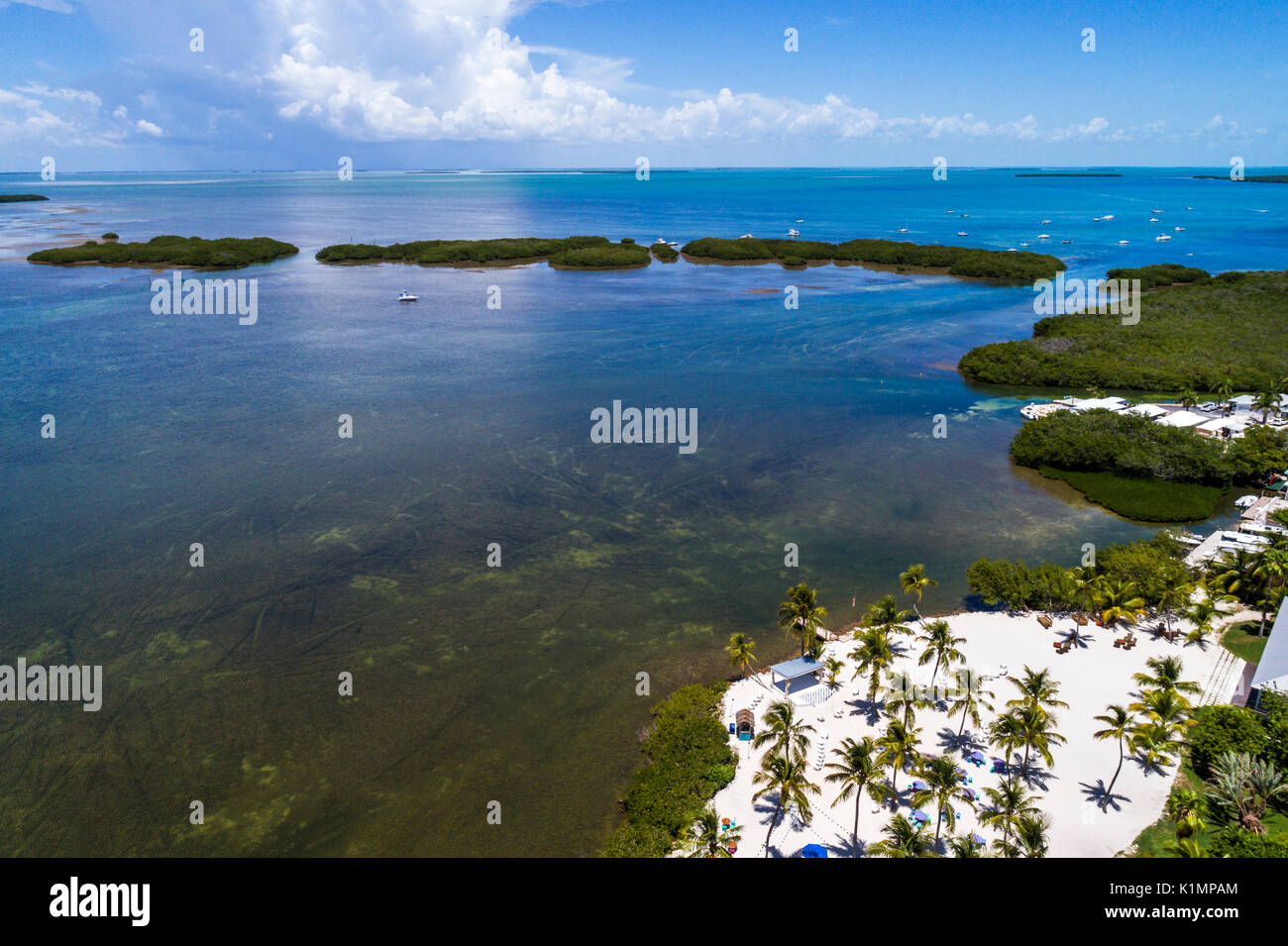 Florida,Florida Keys,Upper,Islamorada,Florida Bay,Little Basin,aerial overhead view,FL17081846D Stock Photo