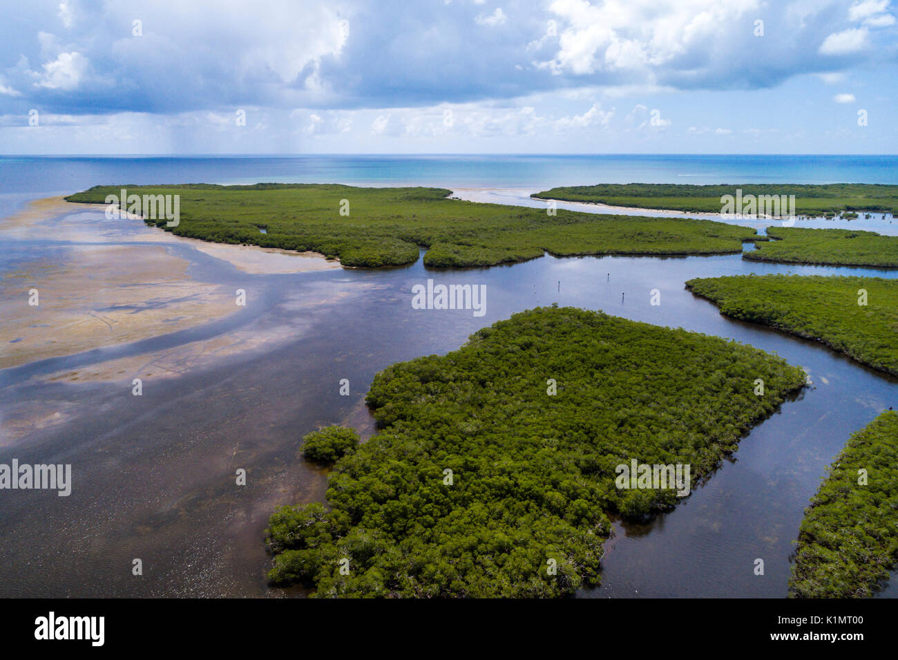 Rattlesnake key john pennekamp coral reef state park hires stock