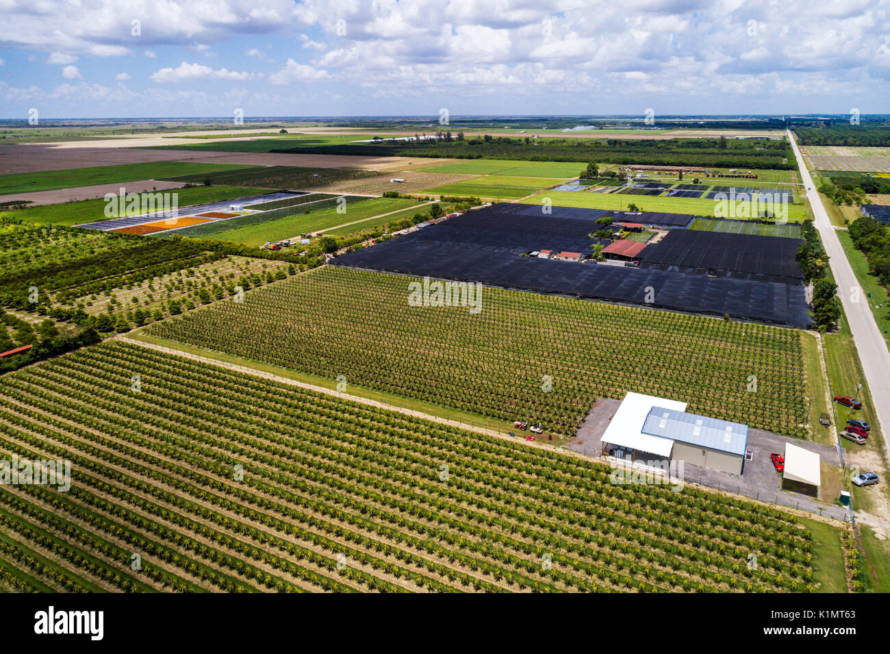 Homestead Florida farmland farm agriculture crop nursery dragon fruit