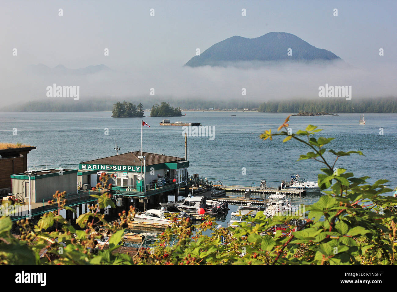 Mist over Meare's Island from downtown Tofino, on Canada's Vancouver Island Stock Photo