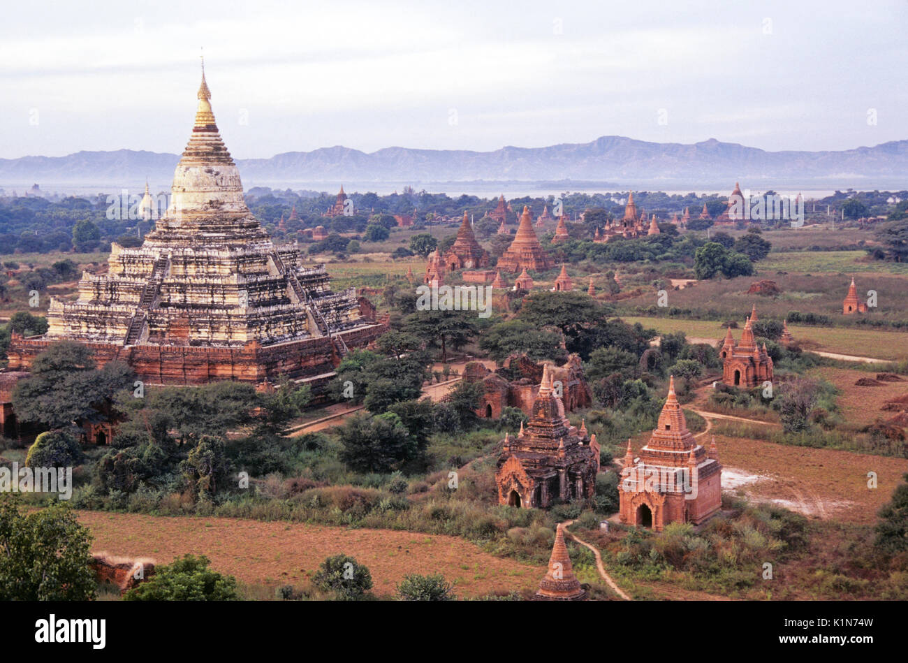 Shwesandaw and ruins of other temples and pagodas on the plain, Pagan (Bagan), Burma (Myanmar) Stock Photo