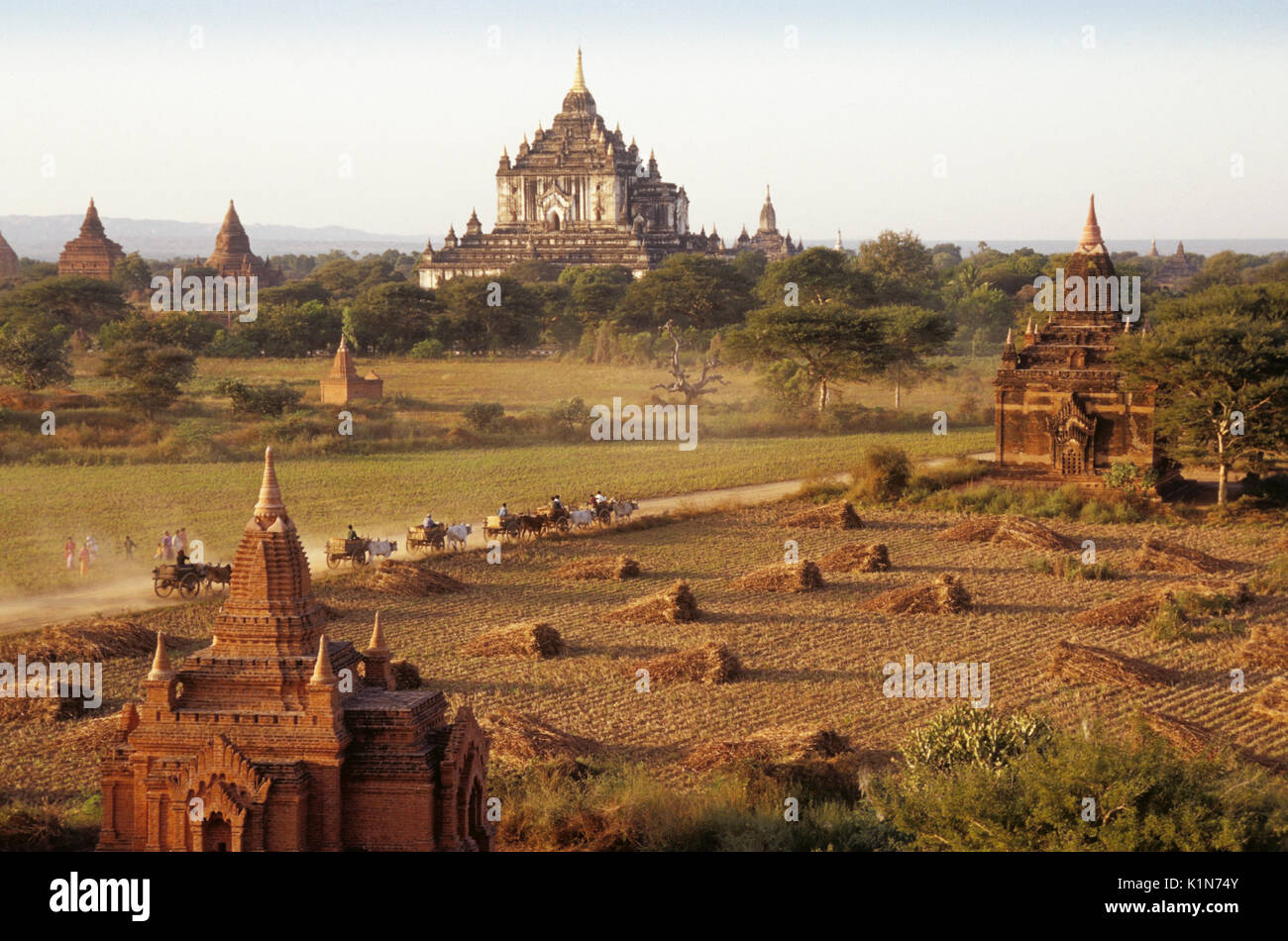 Thatbyinnyu Temple and pagodas on the plain (viewed from Shwesandaw Pagoda), Pagan (Bagan), Burma (Myanmar) Stock Photo