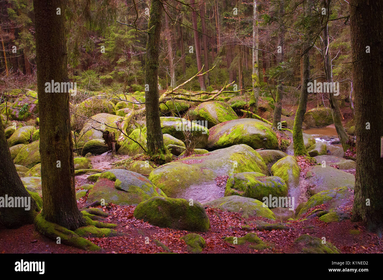 OBERPFALZ, GERMANY - Dec. 16, 2015: Nature Reserve Doost consists of round granite which collected in a brook during the Ice Age. Stock Photo